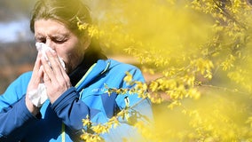 Allergy sufferers, you might be cleaning your house all wrong