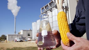 Corn could be the answer to high gas prices