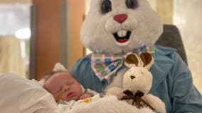 Easter bunny makes special visit to NICU at St. David's Round Rock Medical Center