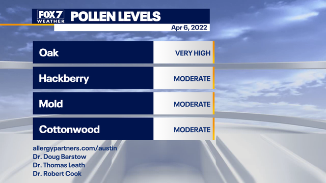 Strong winds bring huge spike of oak pollen to Austin