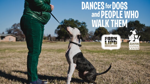 Austin Animal Center, Forklift Danceworks team up for performances