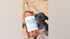 Copper Dog Scotch Whisky pledges to match APA! adoption fees for National Rescue Dog Day