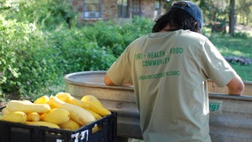 Farm-based leadership organization Urban Roots empowers youth, nourishes community