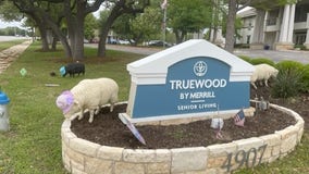 3 display sheep stolen from Georgetown assisted living facility