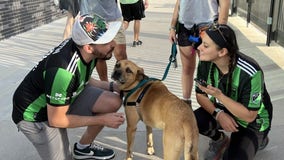 50 honorary mascots adopted through Austin FC, Austin Pets Alive! partnership