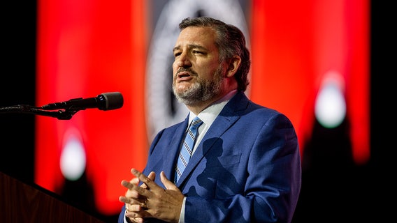 Activist confronts Ted Cruz in Houston restaurant following NRA convention