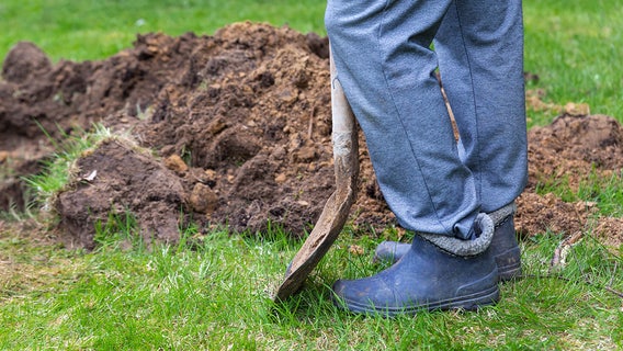 Man died from heart attack while burying woman he strangled, South Carolina deputies say