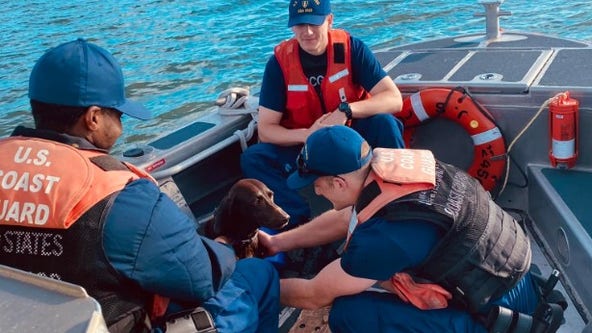 Coast Guard rescues dog who fell overboard in North Carolina