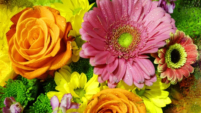 H-E-B gifts 4,500 bouquets across Texas for Military Spouse Appreciation Day