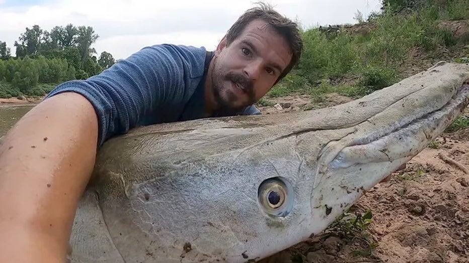 The Texas Parks and Wildlife Department said alligator gar get colossal, and they look like something that should be swimming around with dinosaurs, not bass and crappie. (Payton Moore / WILD LIFE YouTube)