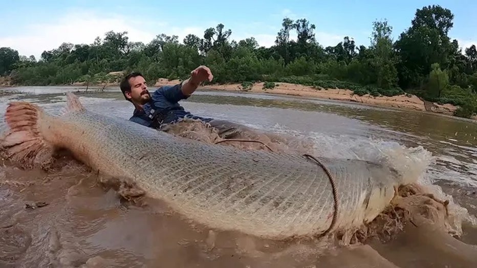 Payton Moore caught a true river monster on May 5, 2022, near Houston, Texas. The alligator gar was several inches over eight feet long and estimated in the neighborhood of 300 pounds. (Payton Moore / WILD LIFE YouTube)