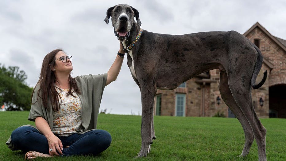 Zeus-sits-with-Brittany.jpg