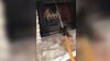 Squirrel comes down through chimney in South Austin home