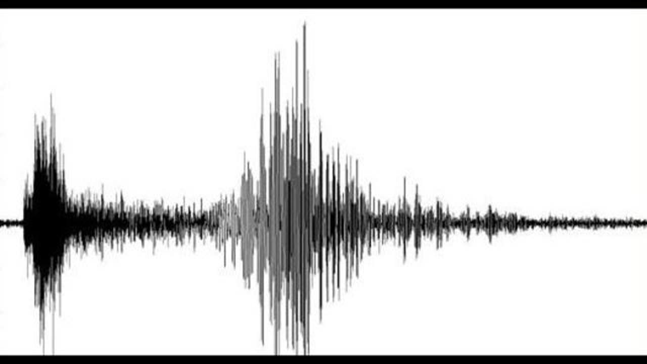 Earthquake strikes southeast central Georgia