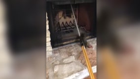 Squirrel comes down through chimney in South Austin home