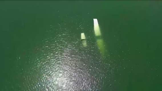 Game Warden pilot hospitalized after crashing plane into Lady Bird Lake