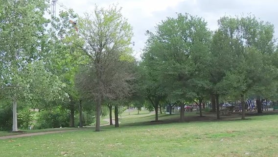 Austin Parks Foundation offering free movies, fitness classes in area parks