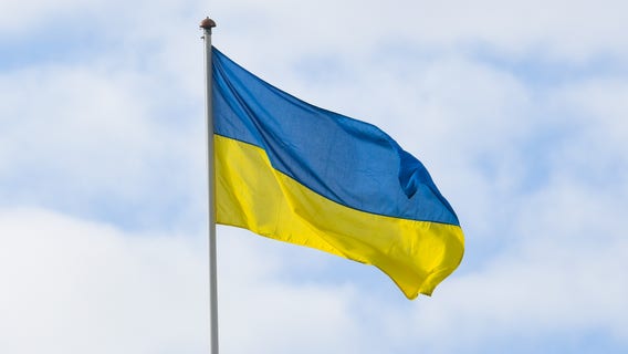 Ukraine fundraiser on International Children's Day hosted by Les Dames D'escoffier