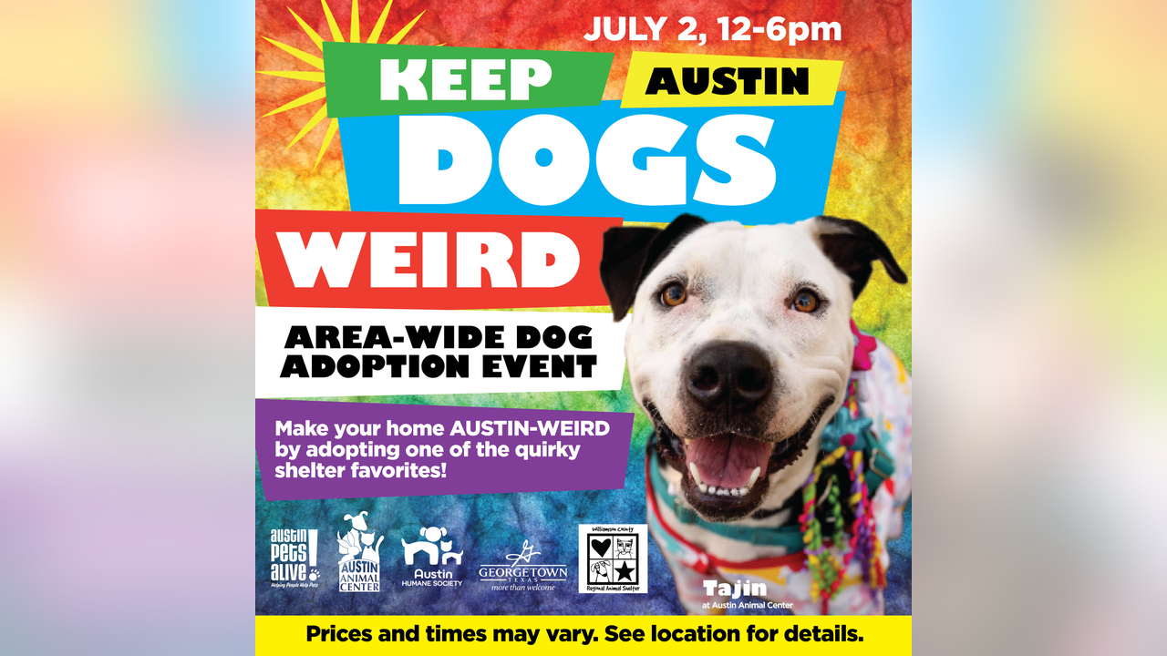 City-wide adoption event on July 2 celebrates 'weirdo' dogs in Austin shelters City-wide adoption event on July 2 celebrates 'weirdo' dogs in Austin shelters