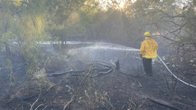 Wildfire danger high as Texas continues to experience hot & dry conditions