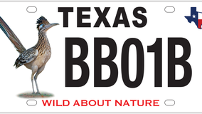 TPWD launches greater roadrunner conservation license plate