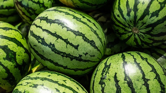 There is fun for the whole family at the McDade Watermelon Festival