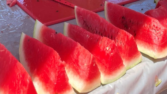 Community members beat the heat at McDade Watermelon Festival