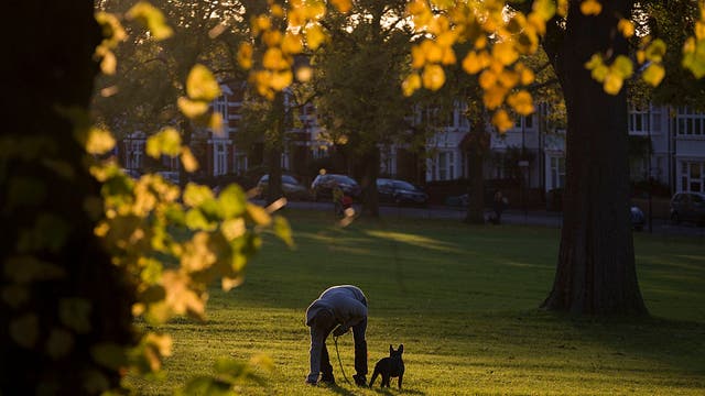 Parasitic worms found across US parks put kids, pet owners at risk