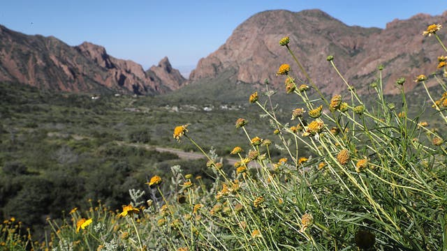 Big Bend hiker, 75, found dead amid extreme heat