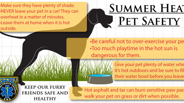 ATCEMS gives tips to keep you, your animals safe this summer