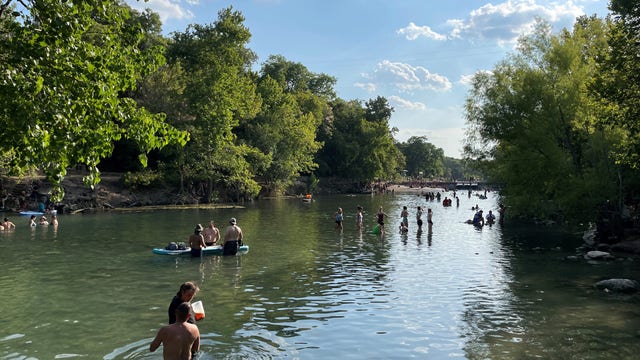 Scientists say toxic algae can be deadly for dogs, people