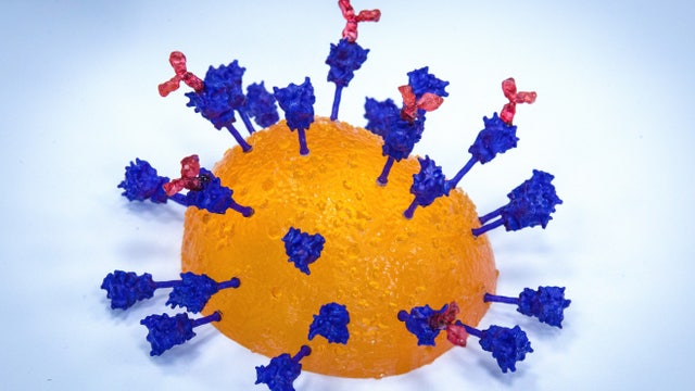 New vaccine could protect against COVID-19 variants before they emerge