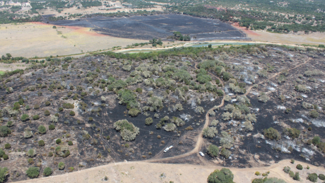 San Gabriel Fire burns 445 acres in Williamson County