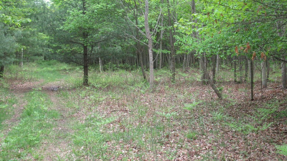 wjbk_Arenac-parcel_070122.jpg