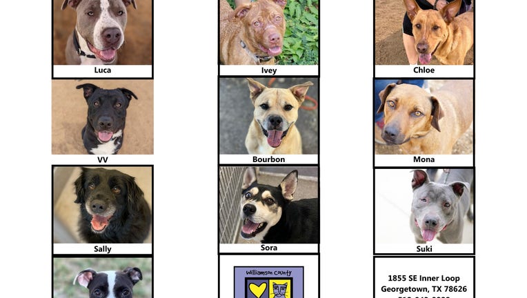 WCRAS Preventing Euthanasia list of dogs