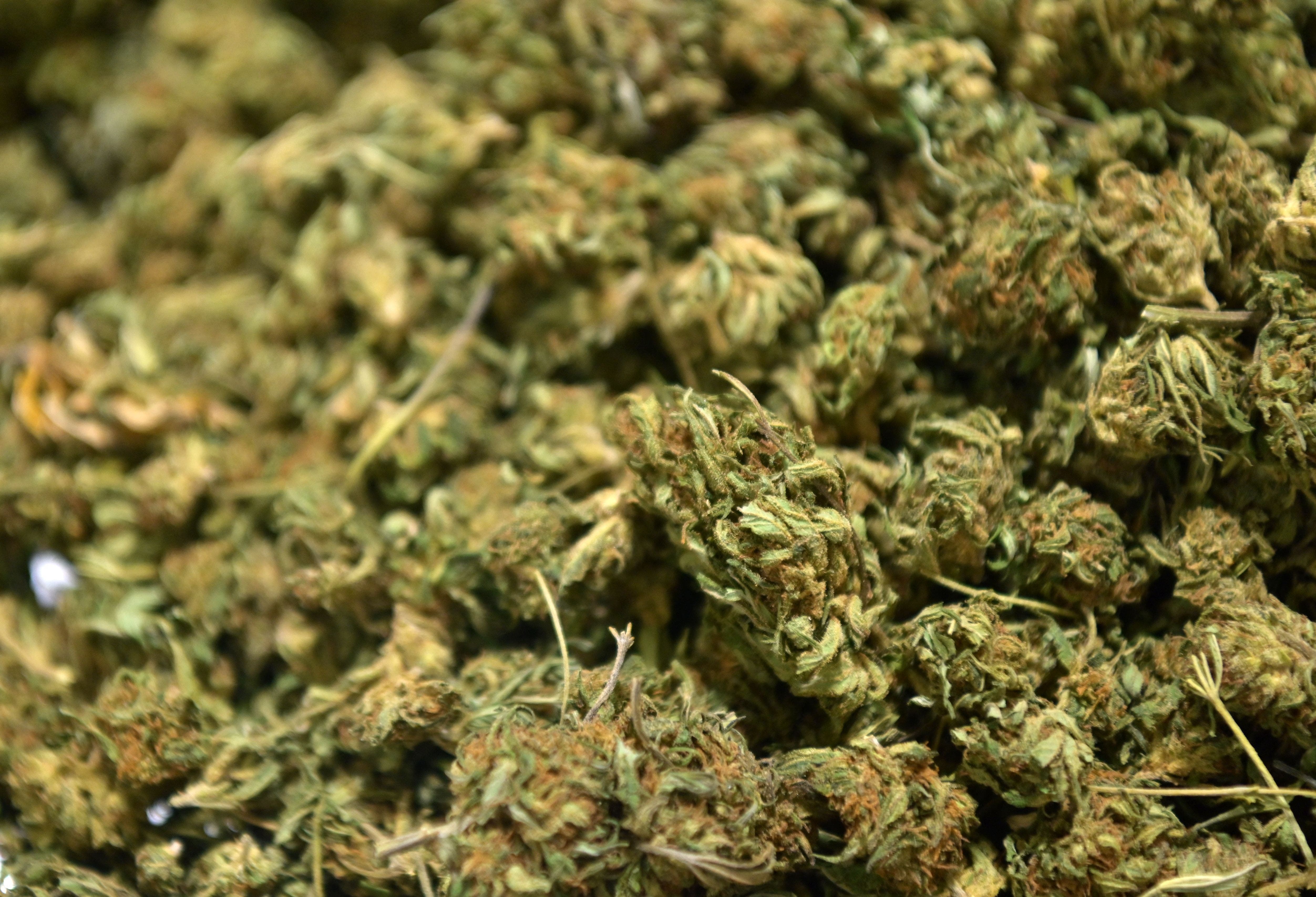 Texas judge begins hearing on controversial smokable hemp ban and fee hikes