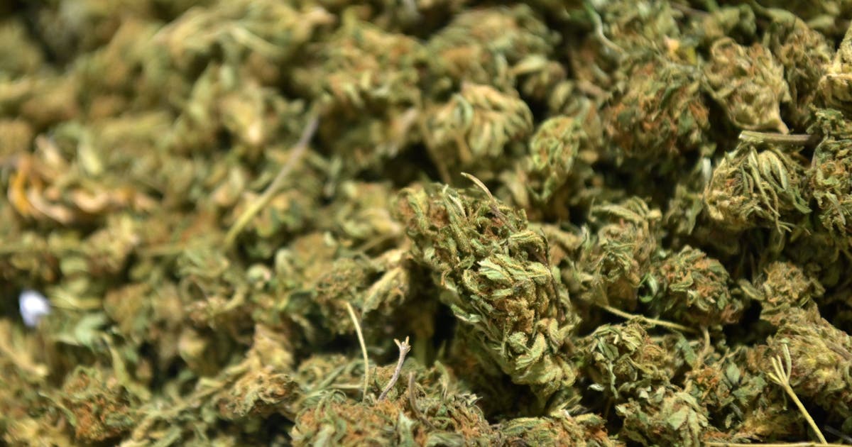 Texas judge begins hearing on controversial smokable hemp ban and fee hikes