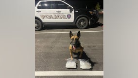 New Braunfels woman arrested, charged after K-9 finds meth in vehicle