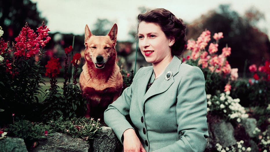 Queen Elizabeth in Garden with Dog