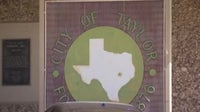 Elderly Taylor man killed in pedestrian crash; driver charged: police