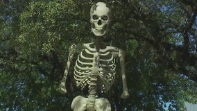 12-foot stolen Halloween skeleton replaced by creator in Northwest Austin