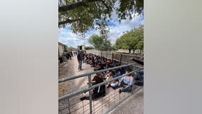 84 undocumented immigrants rescued from 18-wheeler, Hidalgo County Sheriff says