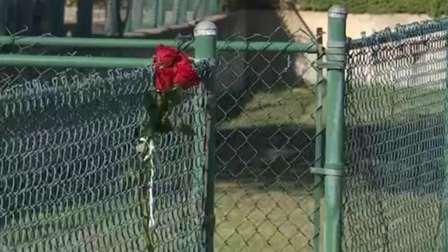 Teen with gunshot wounds found in vehicle that crashed into pole