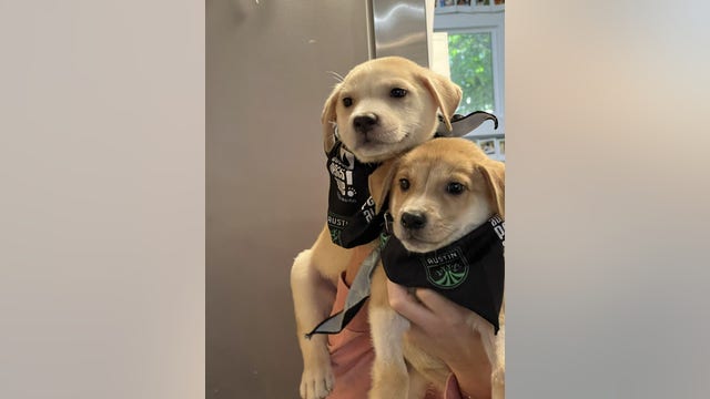 Austin FC to feature 2 parvovirus survivors as honorary mascots at first-ever MLS playoff match