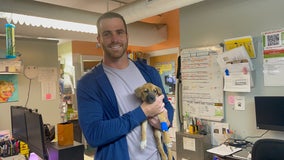 Miami Dolphins player chooses Austin Pets Alive! for charity campaign