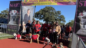 Thousands of dogs gather at Camp Mabry for Mighty Texas Dog Walk