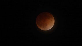 November total lunar eclipse offers celestial highlight amongst meteor showers and glowing planets