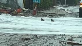 Video of 'sharks' swimming in Florida road during Tropical Storm Nicole goes viral