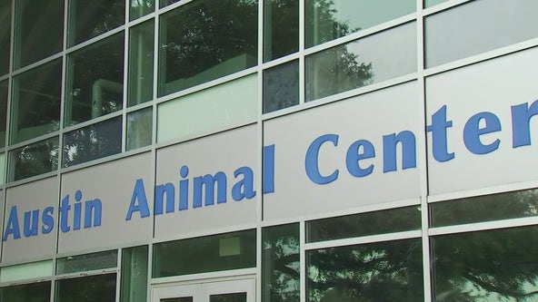 Austin Animal Center creates urgent placement list