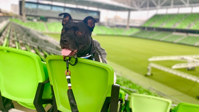 Austin FC and APA! team up to save dogs from euthanasia